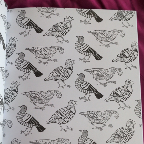 FREE W/ANY PURCHASE Adult Colouring Book - Picture 8 of 12